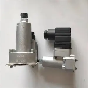 ԭװ����HAWEѹ���̵��� DG34