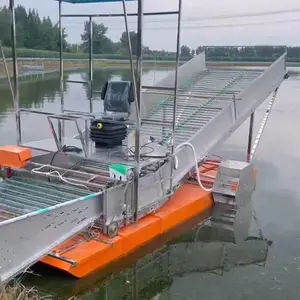 �ӵ��������̴���������������ˮ��«�ո