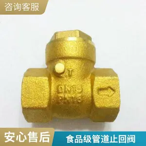���չ���ֹ�ط� ��ʽ��װ ��ˮ�������� ȫֹͭ�ط�