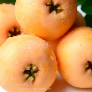 ɳƺ�Ӵ����������� 1����������������һ���Ǯ