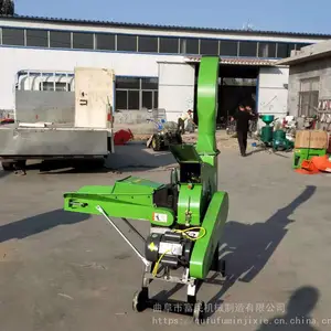 ���������ա�ݻ�/ţ����������ա�λ�ͼƬ/ա�ϻ�