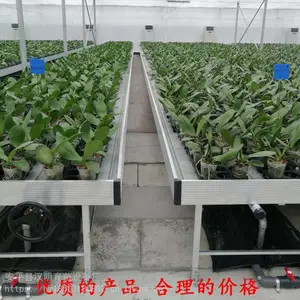 潮汐式灌溉移动苗床汉明苗床厂家可开模定制