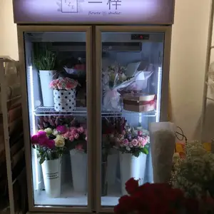 �����ʻ����ʹ� ����չʾ����ع� ���÷��仨����й� ˫������ʽ���