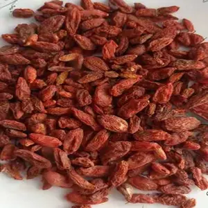 宁夏枸杞散装250g干度好新货头茬产地销售红枸杞