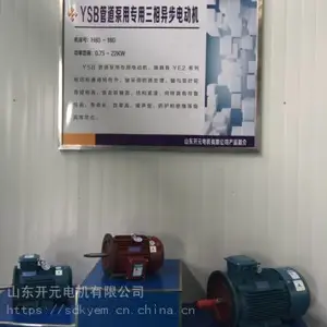 山东开元电机公司长轴立式电机