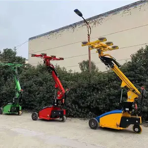 ������װ�綯���˳� ����800kg�������˳� ���ܲ����������˳�