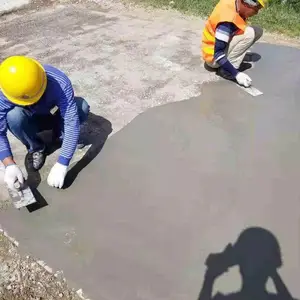 ���ݻ����޲�ɰ�� �����������