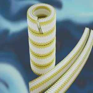 英国 jameswalker Lionpak 2300系填料 应用在阀门和泵处理化学介质中