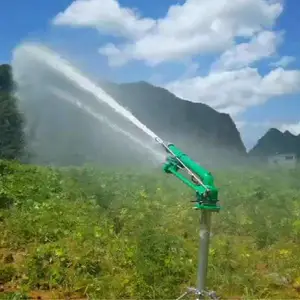 ����������������������ǹ50��