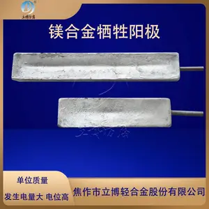 立博防腐 定制牺牲阳极 套装镁阳极 提供多种规格