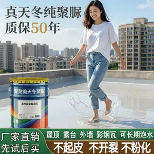 天冬纯聚脲防水涂料室外屋顶外露高弹手工柔性材料裂缝补漏防水胶
