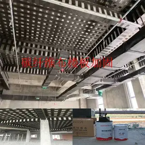 ��Ӧ�Ϻ����������Ƽ����޹�˾QL-500-A̼��ά����̼��ά���ս� ������̼��