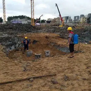南山区,灭白蚁,白蚁防治,流程方法详情咨询