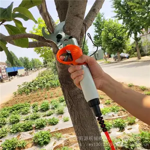 �綯�޼��� ����ɹ����޼��綯������԰�ּ�����֦��