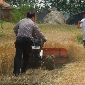 «έ������ǰ�ø�˻� ����С���ַ���ɹ��