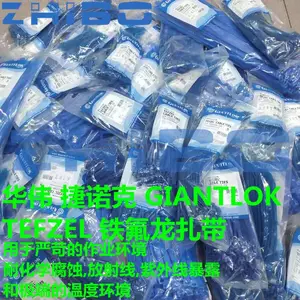2.5*100mm�ط��������ͻ�ѧ��ʴ��������GT-100M-TF
