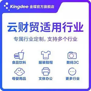 湖南永州网络版精斗云总代直销,精斗云云会计