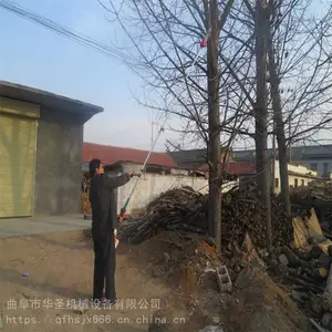 ��ũ��֦��Ҷ���� ��ľ�޸�֦�����;� ��֦��ͼƬ
