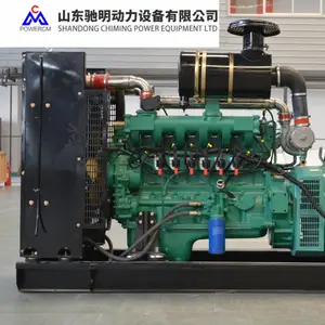 200KW沼气发电机组 养殖场用 东方红发电机组