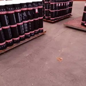 ���������ظ���̥sbs��ˮ���Ĺ���ͺ�
