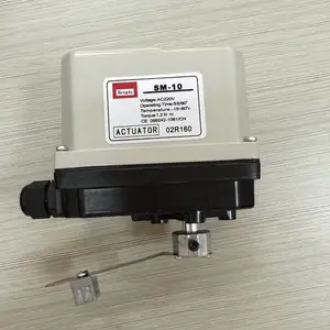 SM-10电动执行器-sm-10电动执行器60秒90度,SM-10-60S