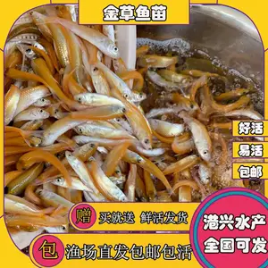 �������ˮ���� ���۲������� ����6-8���ײ����� ȫ���ɻ�***��������