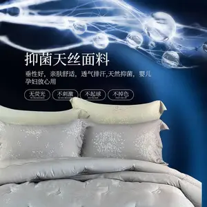 ����Ķ�����ʥ��������ֵ�ñ����룡