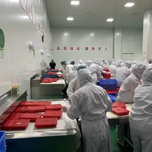 隧道式微波盒饭加热设备 微波熟化灭菌设备 五谷杂粮熟化设备