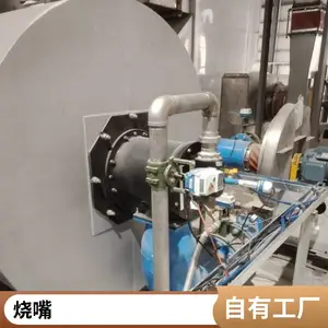 设计RTO废气焚烧炉燃烧器 柴油烧嘴 轻油烧嘴裂解气烧嘴 岱鼎燃烧