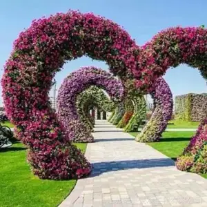 �����̵� �����̵��� �������̵� ���۵��ܰڼ� ŵ������