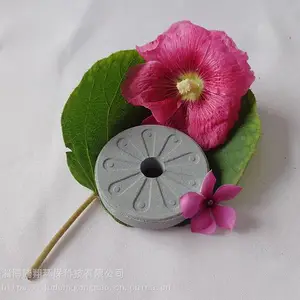����ˮ��ˮƬ�Ĺ�Ч ����ˮ��Ƭ��ˮ�����ͷ�������