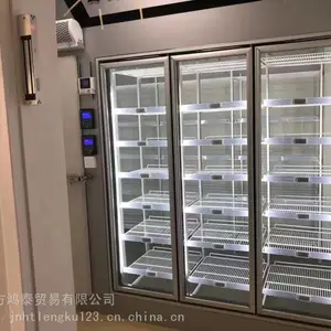河北后补式冷库安装 疫苗试剂冷库 山东玻璃展示冷库定制