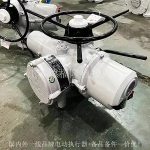 IQ25F14B4 英国罗托克执行机构 输出扭矩可达1080Nm