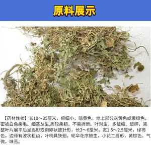 ��ǲ���ȡ�� ����� ȫˮ�ܽ�ǲ���ȡ�� ֲ����ȡ�� ���췢��