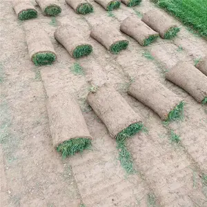 ���� ������Ƥ �� �ݲ�ƺ ���� ���� ���¸���