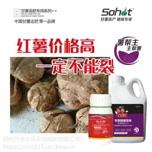 甘薯防裂 膨大剂 甘薯钙肥 红薯叶面肥 甘薯裂口原因及***