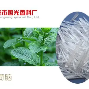 薄荷脑 天然植物提取 国光现货