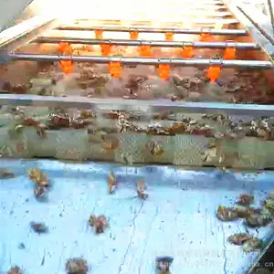 ������ϴ�� �����ຣ��Ʒר����ϴ�� �����ϴ��������е�ӹ�����