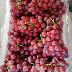 �������������������ѻ�������������ؼ۸�������Ӧ��������