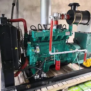 75KW猪粪气体发电机组 沼气湿法脱硫设备 小型沼气脱硫塔