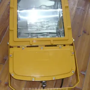 �¿�BGQ-02B����Ͷ��� 250W 400W ������200W ����LEDͶ���400W