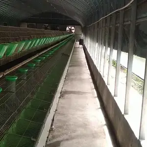 三元杂交肉牛养殖行情鲁西黄牛价格走势肉牛养殖场