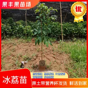 ����Ц��֦�޽ӱ��罡׳�޲���ͼƬ��ֲ��������