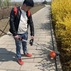 б��ʽ���͸�ݻ� ����ʽ԰�ֳ��ݻ� ����Ӳ�������³ǿ��е
