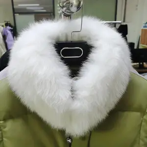 ��Ӧ����ë�ſ�Χ������***