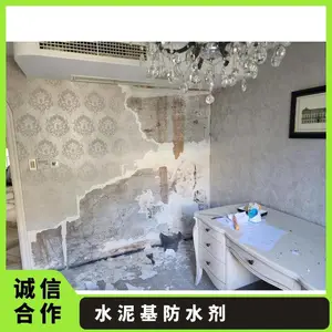 龙晨自修复防水剂墙体除碱快速修复防水防霉水泥基自愈合防水剂