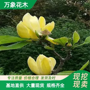 ���س��� �������� �ֵ��е��� ����ͥԺ�̻���ľ �̻�������