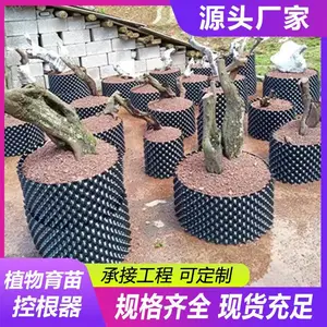 ԰��ֲ��ظ���˫������ˮ����ľ��ֲ�����ظ���Χ�����������ֲ