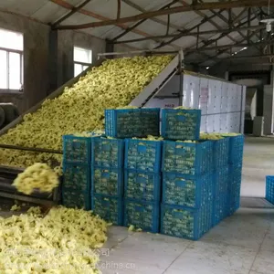 百信黄蜀葵花烘干机 多层网带黄蜀葵花烘干设备 多种可用秋葵干燥机