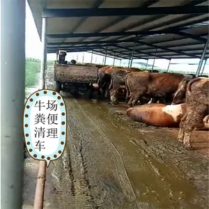 �¿����೵ ����ţ����೵ ���